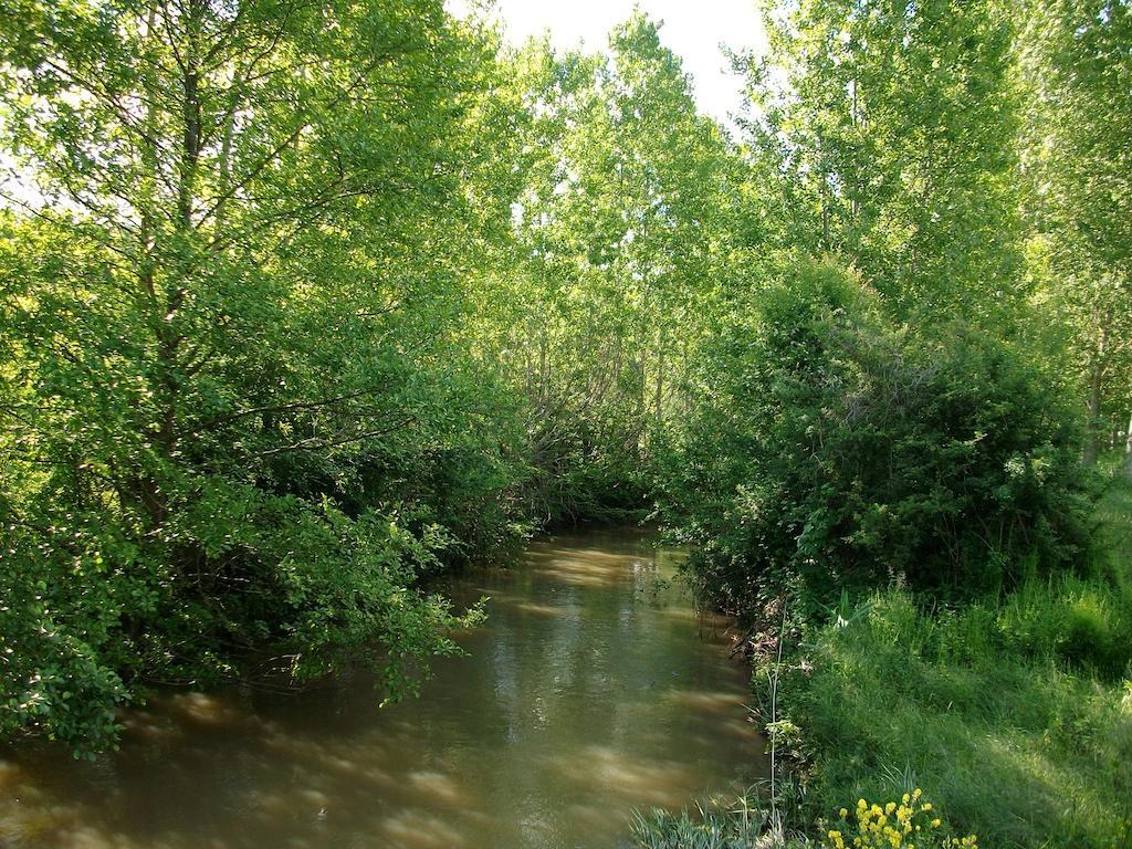 La Cle Des Chants Tauxigny Kültér fotó