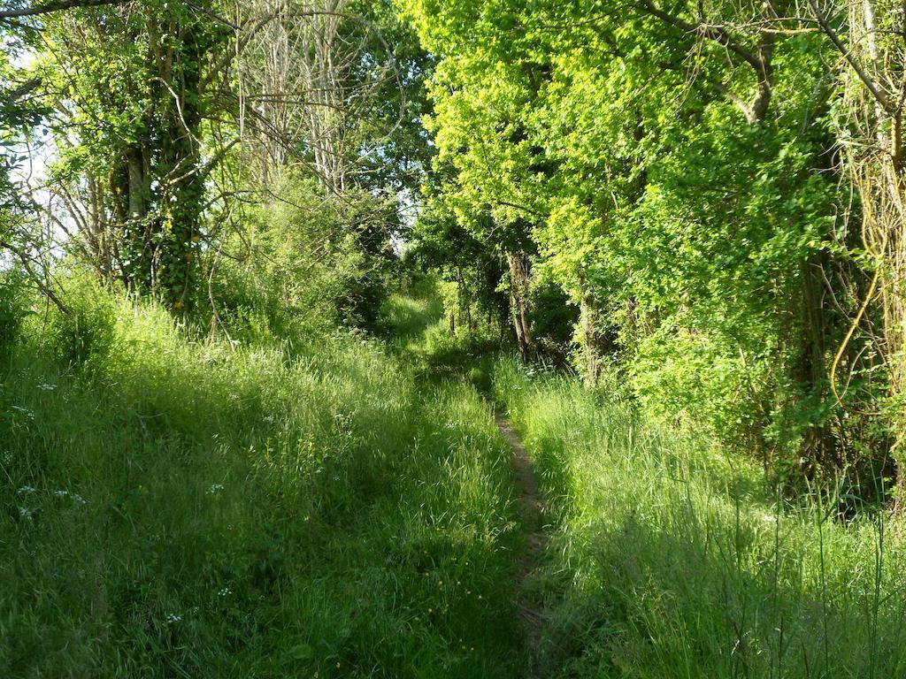 La Cle Des Chants Tauxigny Kültér fotó